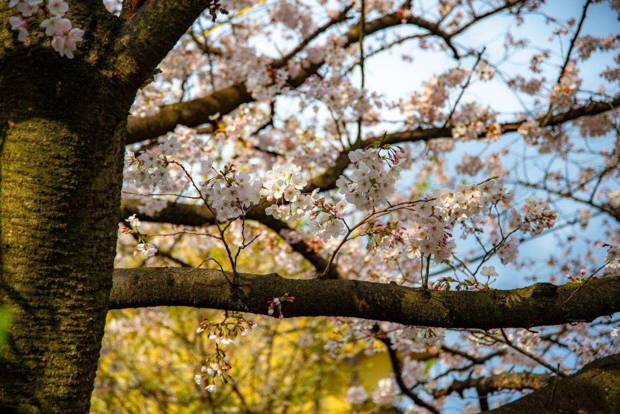 Kyoto Takasegawa Bettei Ξενοδοχείο Εξωτερικό φωτογραφία