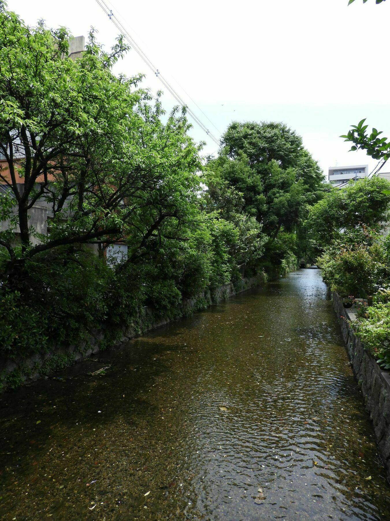 Kyoto Takasegawa Bettei Ξενοδοχείο Εξωτερικό φωτογραφία